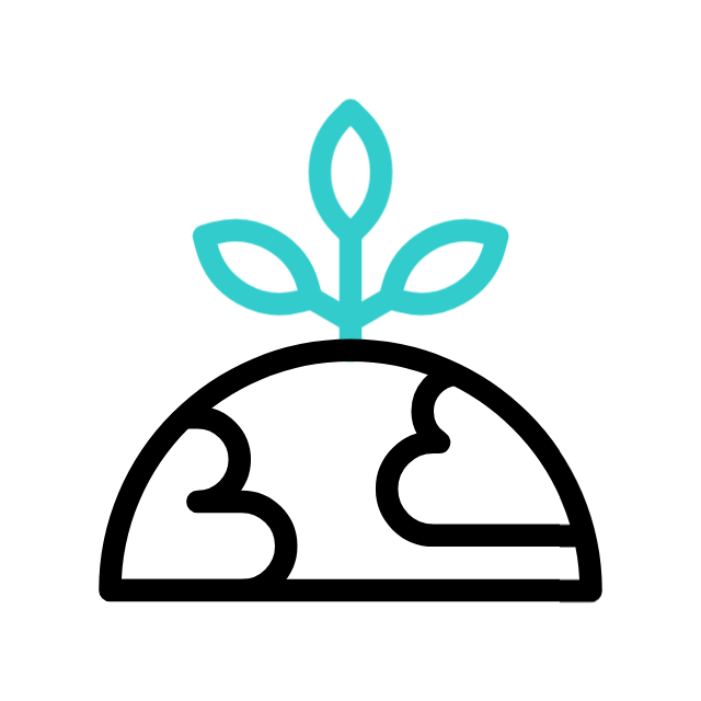Icon 3